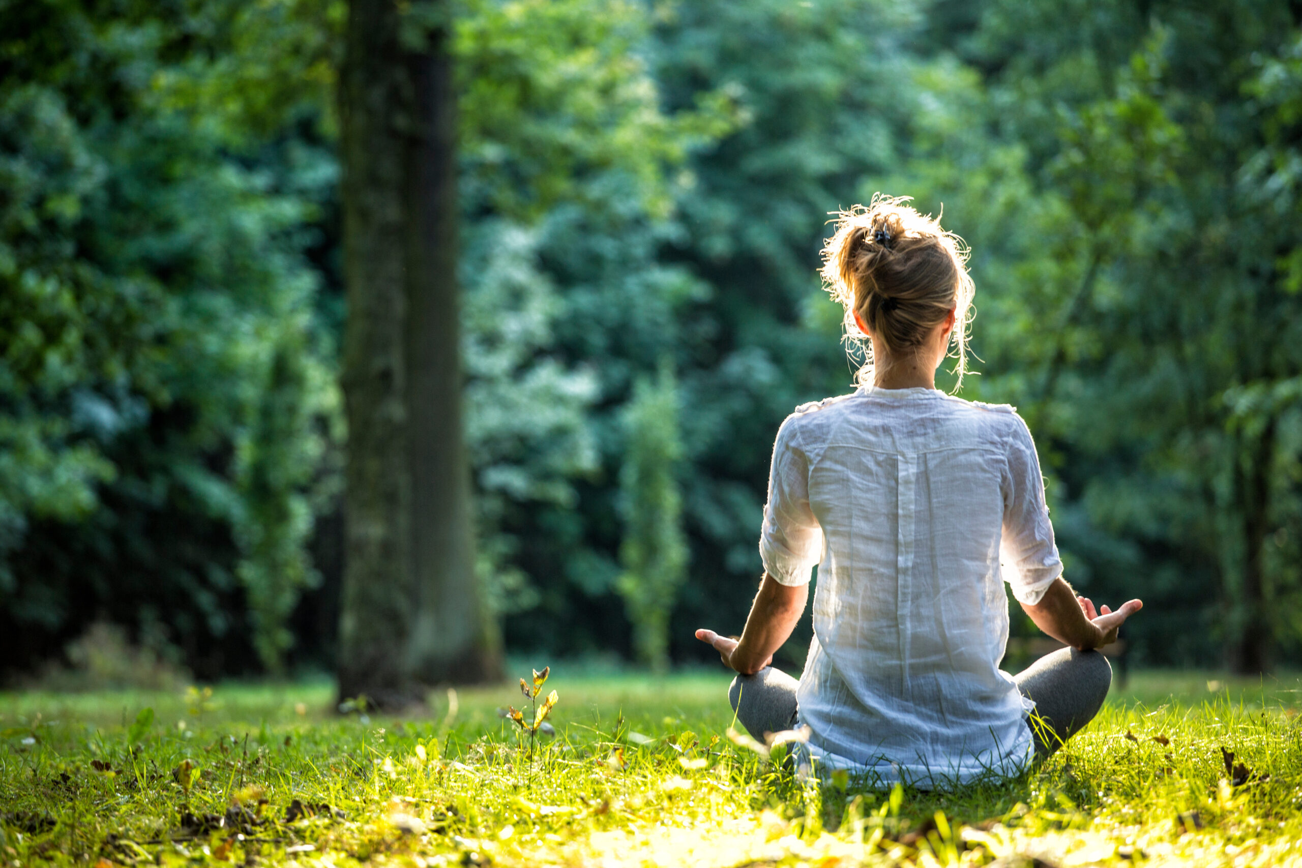 Where is it best to meditate?